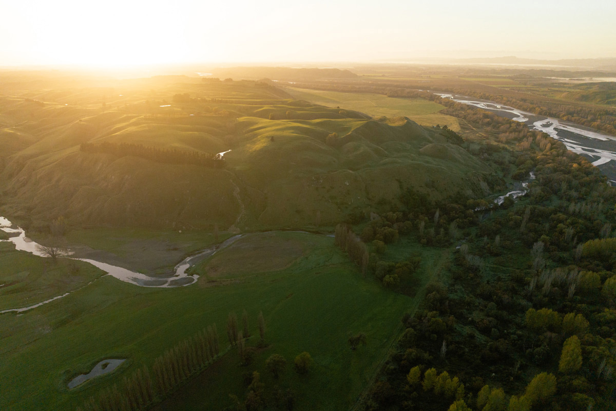 Matapiro_01