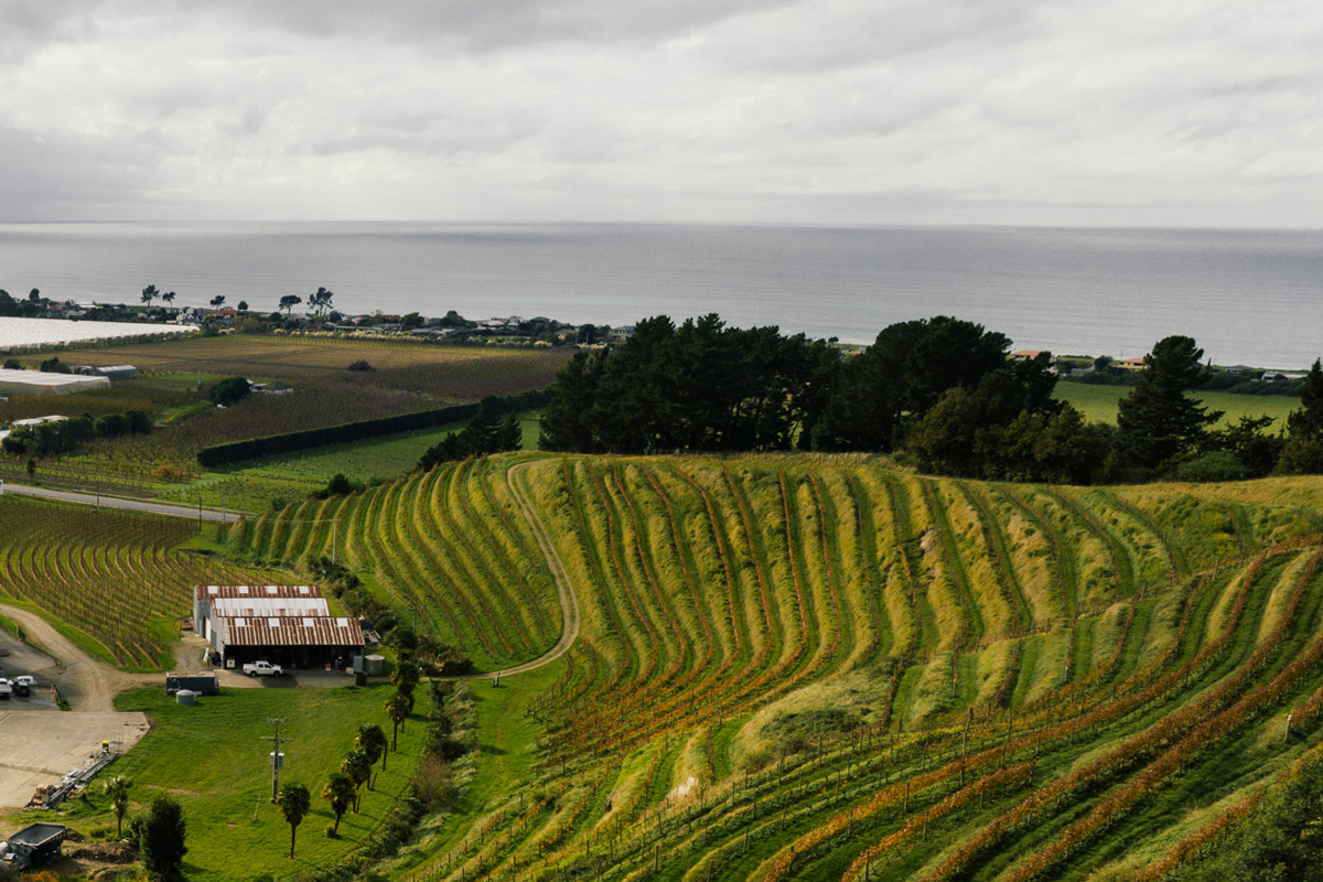 Terraces_01