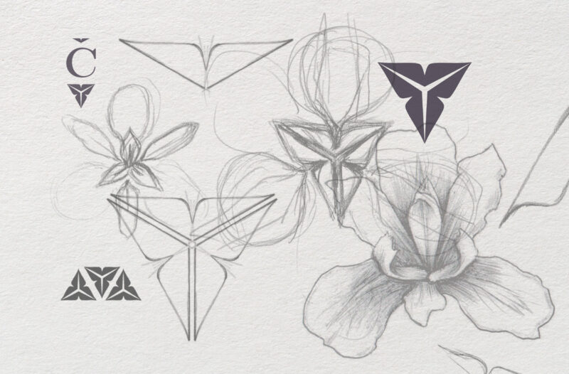 Cuvar-Logo-Development